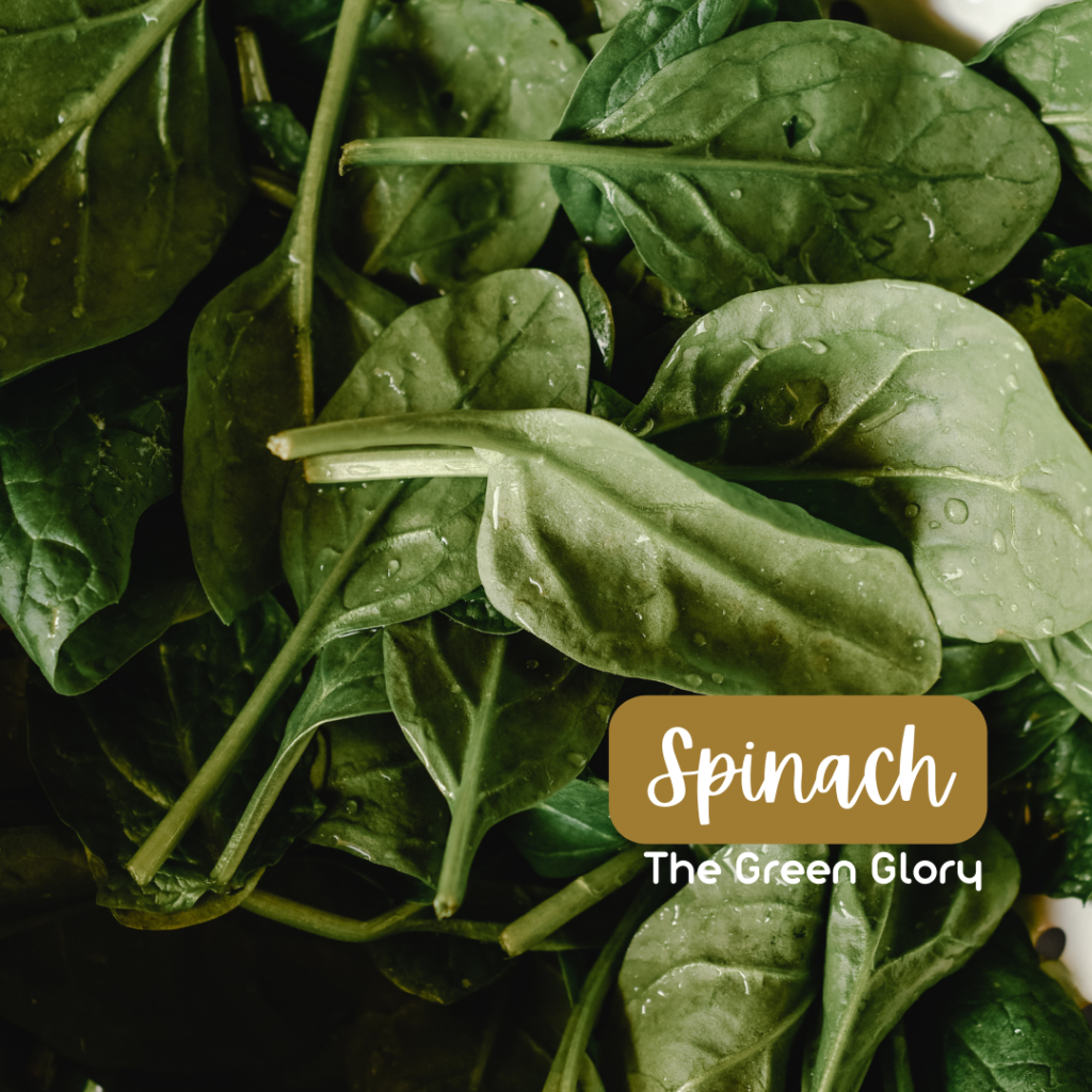 A vibrant bunch of fresh spinach leaves, showcasing their dark green colour and crisp texture. Nutrient-packed greens that are a powerhouse of vitamins A, C, and K, perfect for supporting immune function and bone health. #SpinachSupremacy #NutrientPowerhouse